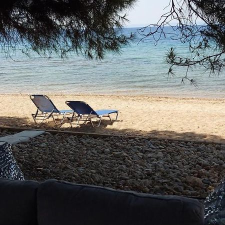 "Pine&Sea" Kastamoniti Beach Никити Экстерьер фото