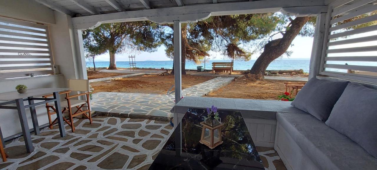 "Pine&Sea" Kastamoniti Beach Никити Экстерьер фото