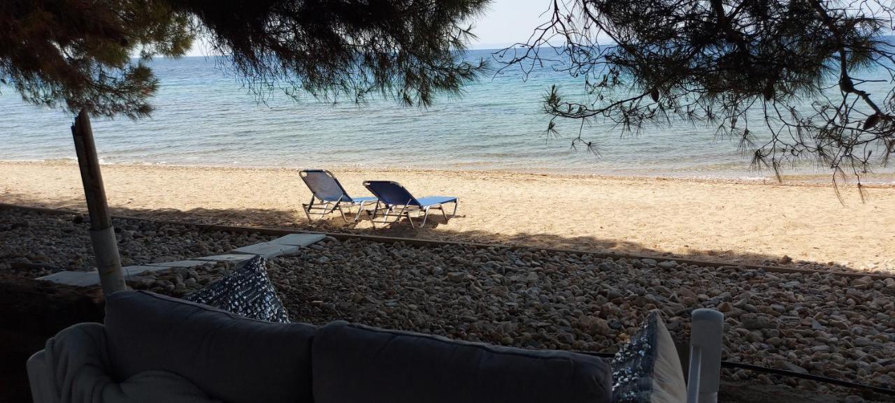 "Pine&Sea" Kastamoniti Beach Никити Экстерьер фото