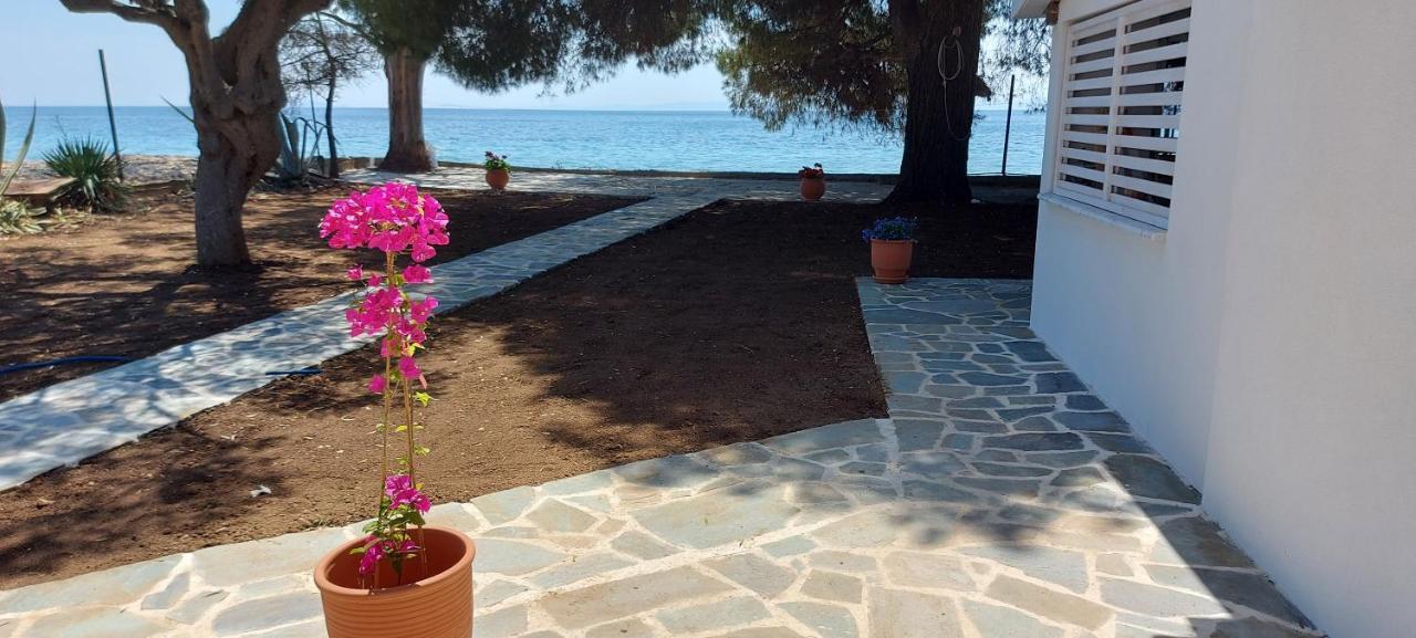 "Pine&Sea" Kastamoniti Beach Никити Экстерьер фото