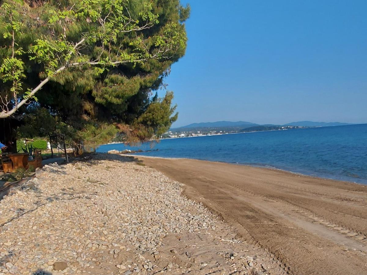 "Pine&Sea" Kastamoniti Beach Никити Экстерьер фото