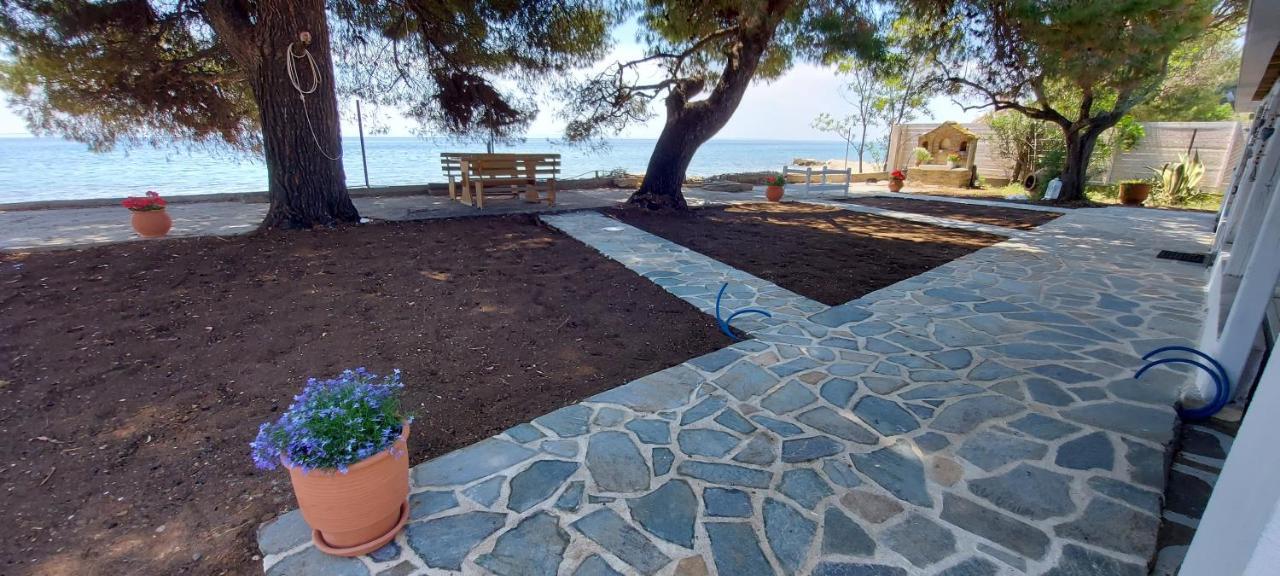"Pine&Sea" Kastamoniti Beach Никити Экстерьер фото