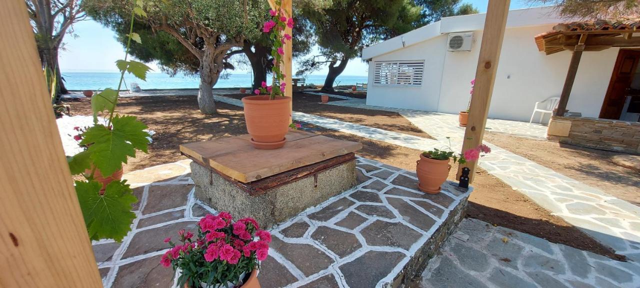 "Pine&Sea" Kastamoniti Beach Никити Экстерьер фото
