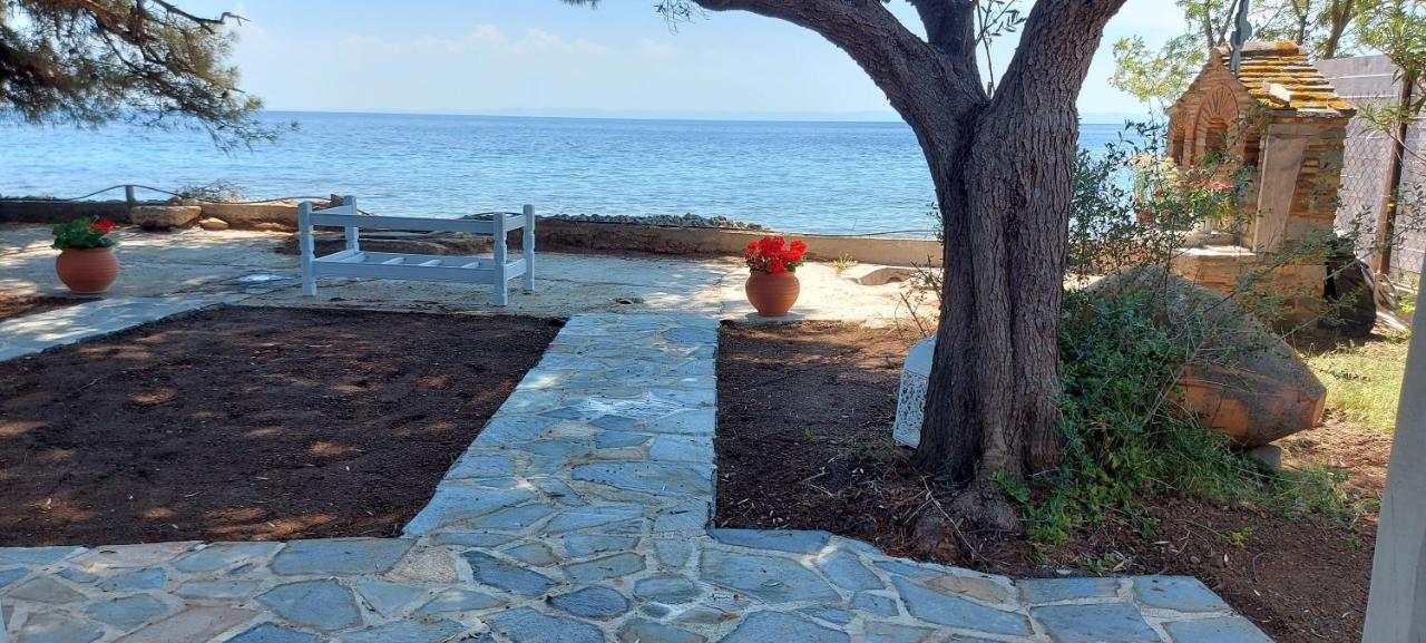 "Pine&Sea" Kastamoniti Beach Никити Экстерьер фото