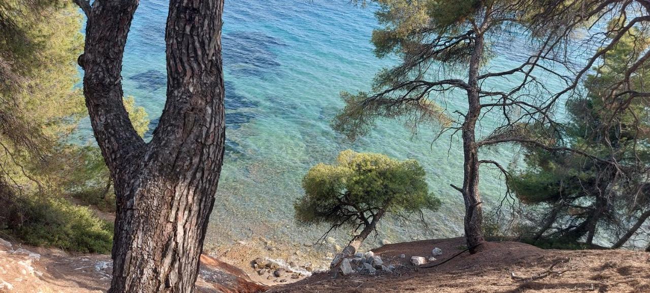 "Pine&Sea" Kastamoniti Beach Никити Экстерьер фото